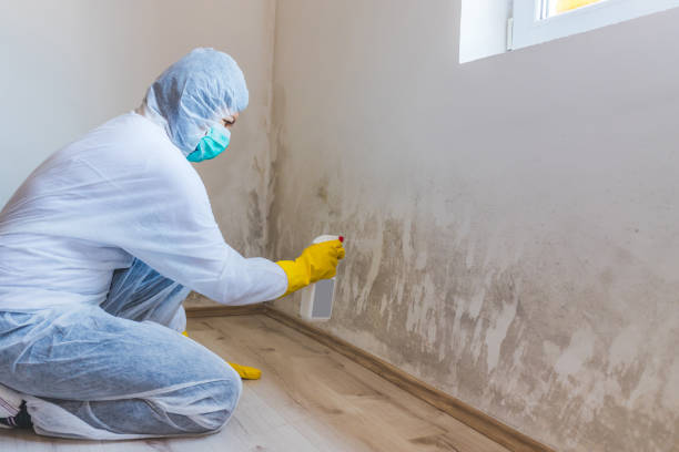 Mold Remediation specialist working in Martinsburg